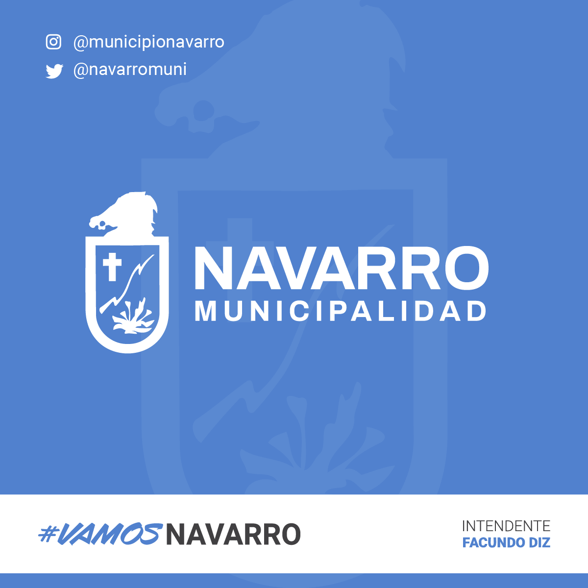 Municipalidad de Navarro